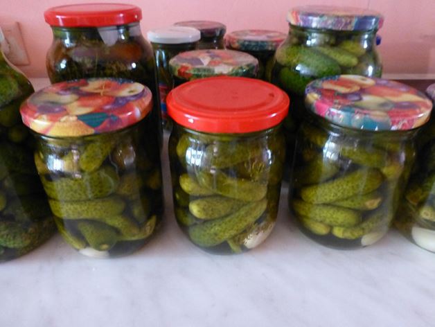 Маринование хрустящих корнишонов на зиму своими руками